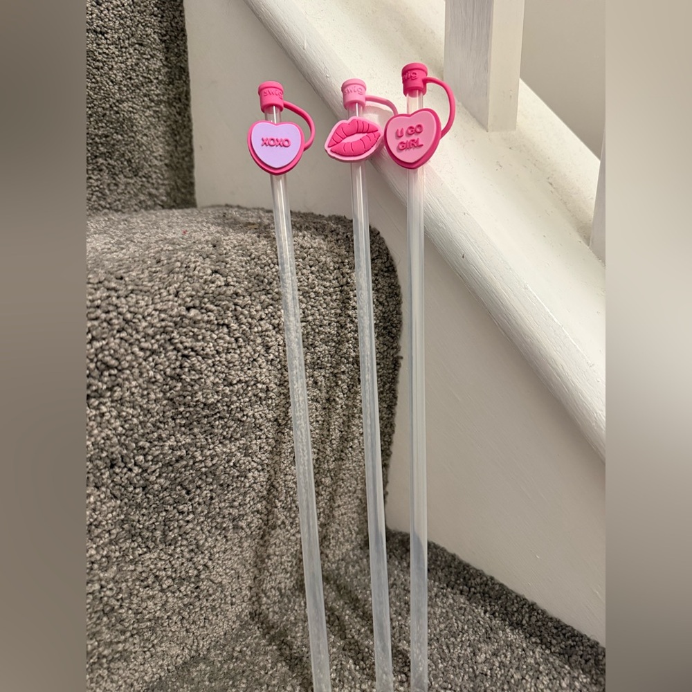 Set of 3 Valentines Day Swig Straws with Toppers